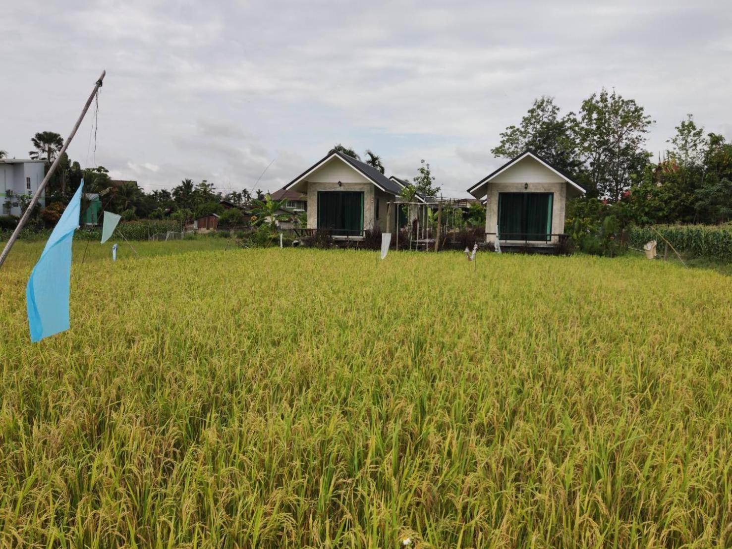 Vieng Pua Homestays 난 외부 사진